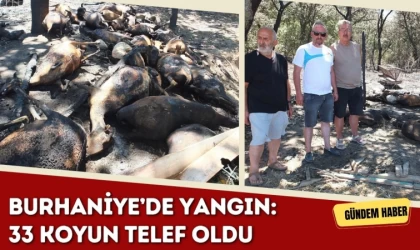 Burhaniye’de Yangın: 33 Koyun Telef Oldu