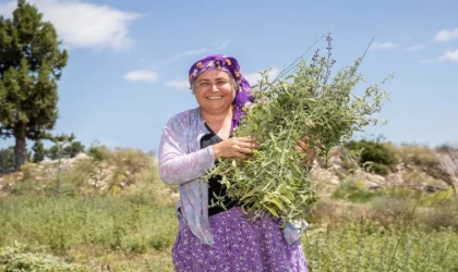 Çiftçilerin Hasat Sevinci