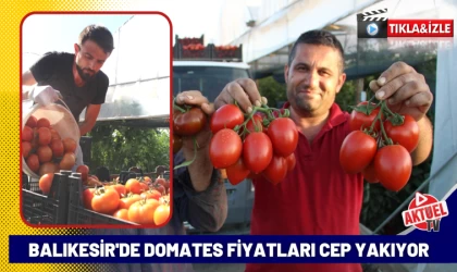 Domates Fiyatları Cep Yakıyor!