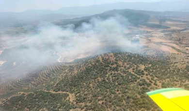 Ekin Tarlasındaki Yangın Ormana Sıçradı