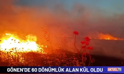 Gönen’de 60 Dönümlük Alan Kül Oldu