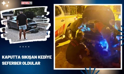 Kaputta Sıkışan Kediye Seferber Oldular