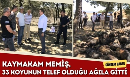 Kaymakam Memiş, 33 Koyunun Telef Olduğu Ağıla Gitti