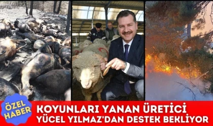 Koyunları Yanan Üretici Yücel Yılmaz’dan Destek Bekliyor