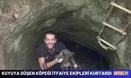 Kuyuya Düşen Köpeği İtfaiye Ekipleri Kurtardı