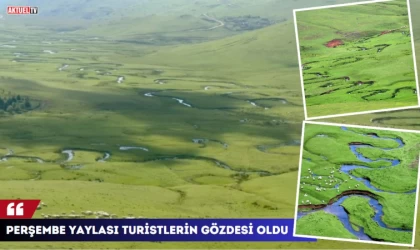 Perşembe Yaylası Turistlerin Gözdesi Oldu