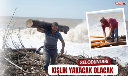 Sel Odunları Kışlık Yakacak Olacak