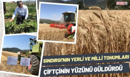 Sındırgı’da Üretilen Yerli Ve Milli Tohumlar Yüz Güldürdü