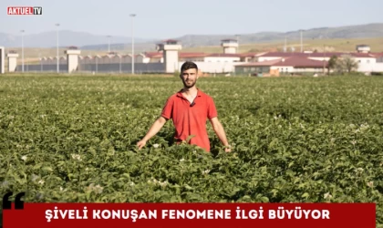 Şiveli Konuşan Fenomene İlgi Büyüyor