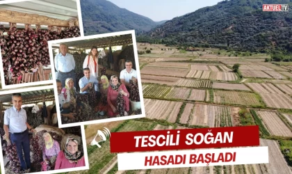 Tescilli Mor Soğan Hasadı Başladı