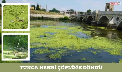 Tunca Nehri Çöplüğe Döndü