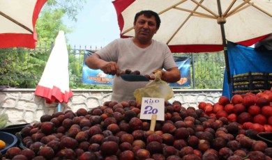 Yaz Meyvesi Eriğe Pazarda Rağbet Yok