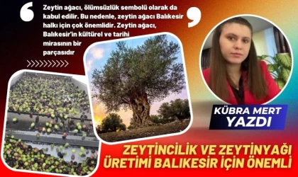 Zeytincilik ve Zeytinyağı Üretimi Balıkesir İçin Önemli