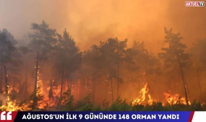 Ağustos'un İlk 9 Gününde 148 Orman Yandı