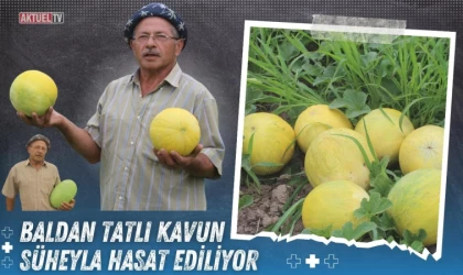 Baldan Tatlı Kavun: Süheyla