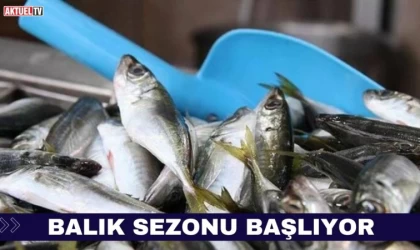 Balık Sezonu Başlıyor