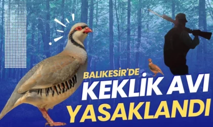 Balıkesir’de Keklik Avlamak Yasaklandı