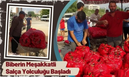 Biberin Meşakkatli Salça Yolculuğu Başladı