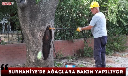 Burhaniye’de Ağaçlara Bakım Yapılıyor