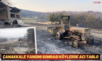 Çanakkale Yangınında Geriye Acı Tablo Kaldı