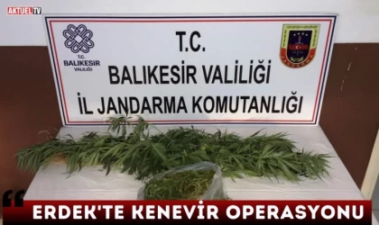 Erdek’te Kenevir Operasyonu