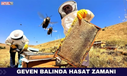 Geven Balında Hasat Zamanı