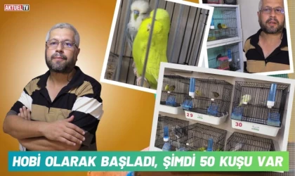 Hobi Olarak Başladı, Şimdi 50 Kuşu Var