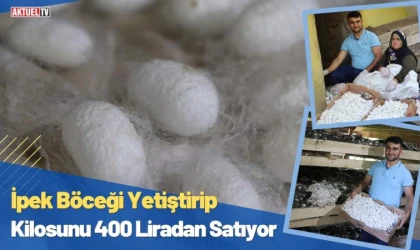 İpek Böceği Yetiştirip Kilosunu 400 Liradan Satıyor