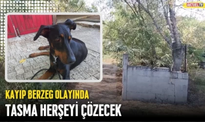 Kayıp Berzeg Olayında Tasma Herşeyi Çözecek