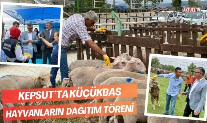 Kepsut’ta Küçükbaş Hayvanların Dağıtım Töreni