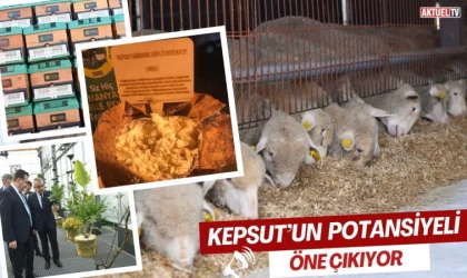 Kepsut’un Potansiyeli Öne Çıkıyor