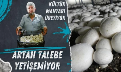 Kültür Mantarı Üretiyor, Artan Talebe Yetişemiyor