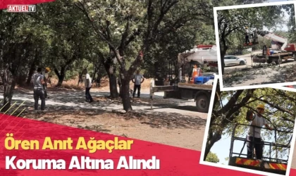 Ören Anıt Ağaçlar Koruma Altına Alındı