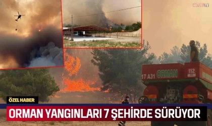 Orman Yangınları 7 Şehirde Sürüyor