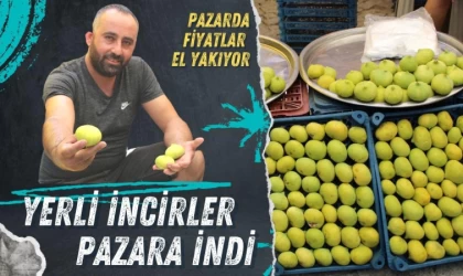 Sezonun İlk İnciri Pazar Tezgahlarında Yerini Aldı