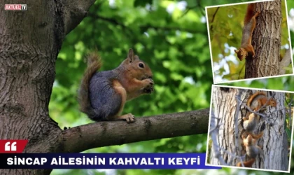 Sincap Ailesi’nin Kahvaltı Keyfi