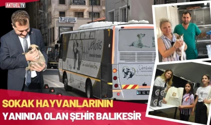 Sokak Hayvanlarının Yanında Olan Şehir Balıkesir