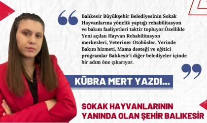 Sokak Hayvanlarının Yanında Olan Şehir Balıkesir