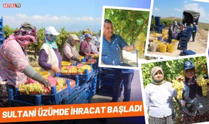 Sultani Üzümde İhracat Başladı