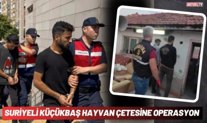 Suriyeli Küçükbaş Hayvan Çetesine Operasyon