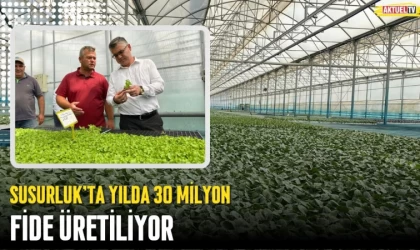 Susurluk'ta Yılda 30 Milyon Fide Üretiliyor