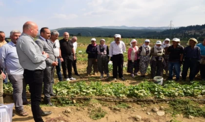 Tarım İşçisinin Koruyucu Ekipmanları Belediyeden