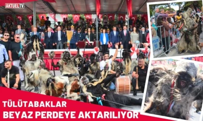 Tülütabaklar Beyaz Perdeye Aktarılıyor