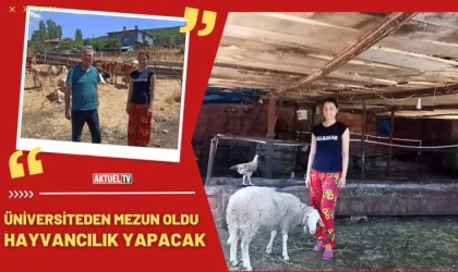 Üniversiteden Mezun Oldu, Hayvancılık Yapacak