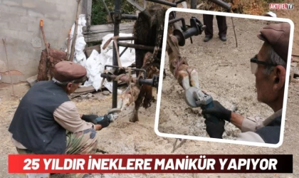 25 Yıldır İneklere Manikür Yapıyor        