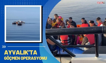 Ayvalık’ta Göçmen Operasyonu