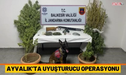 Ayvalık’ta Uyuşturucu Operasyonu