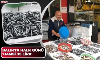 Balıkçılardan Halk Günü : Hamsi 35 Lira