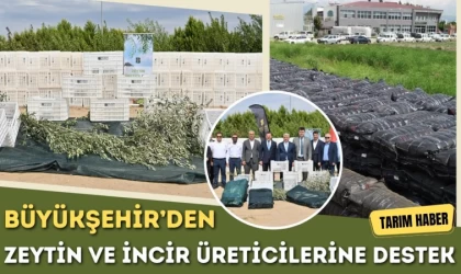 Büyükşehir’den Zeytin ve İncir Üreticilerine Destek