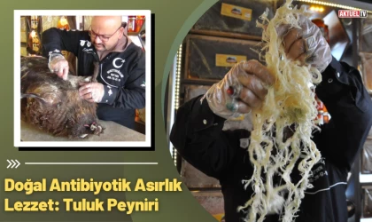 Doğal Antibiyotik Asırlık Lezzet: Tuluk Peyniri